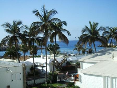 Sirena Apartments Puerto Rico  Oda fotoğraf